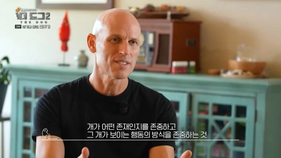 진돗개가 맘에든다는 외국 견주들.jpg_38.webp