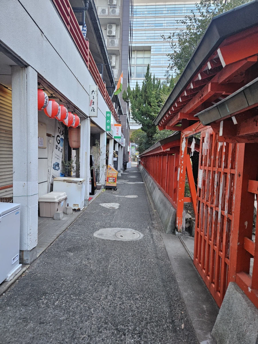 이마주쿠 등_2.webp