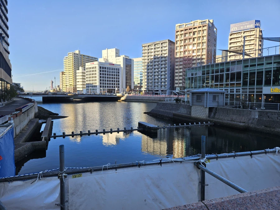 이마주쿠 등_3.webp