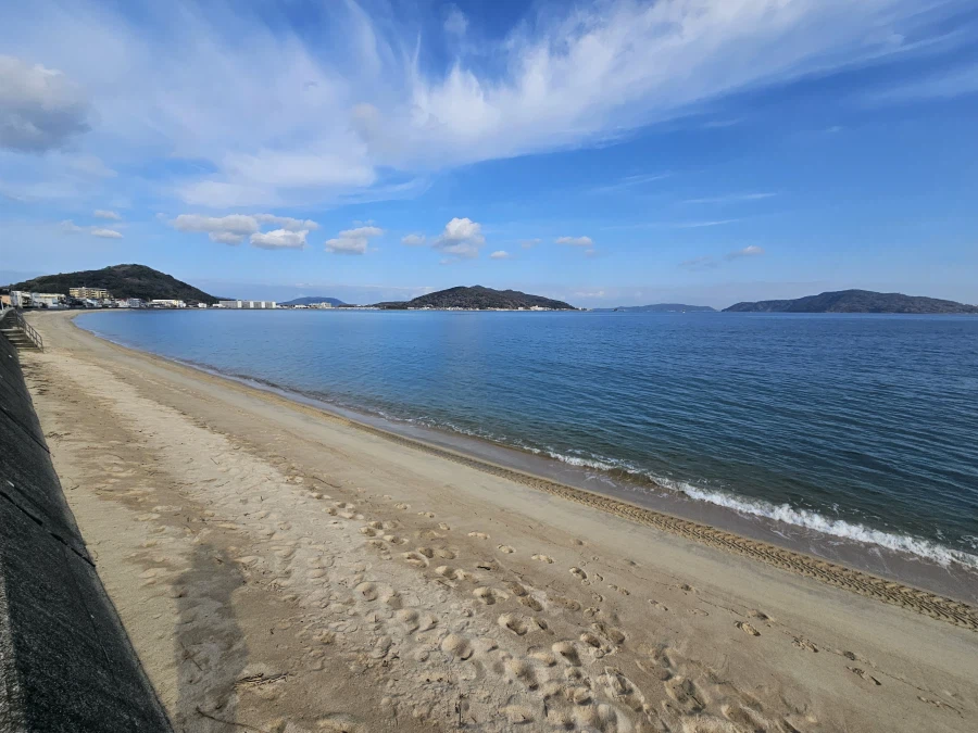 이마주쿠 등_16.webp