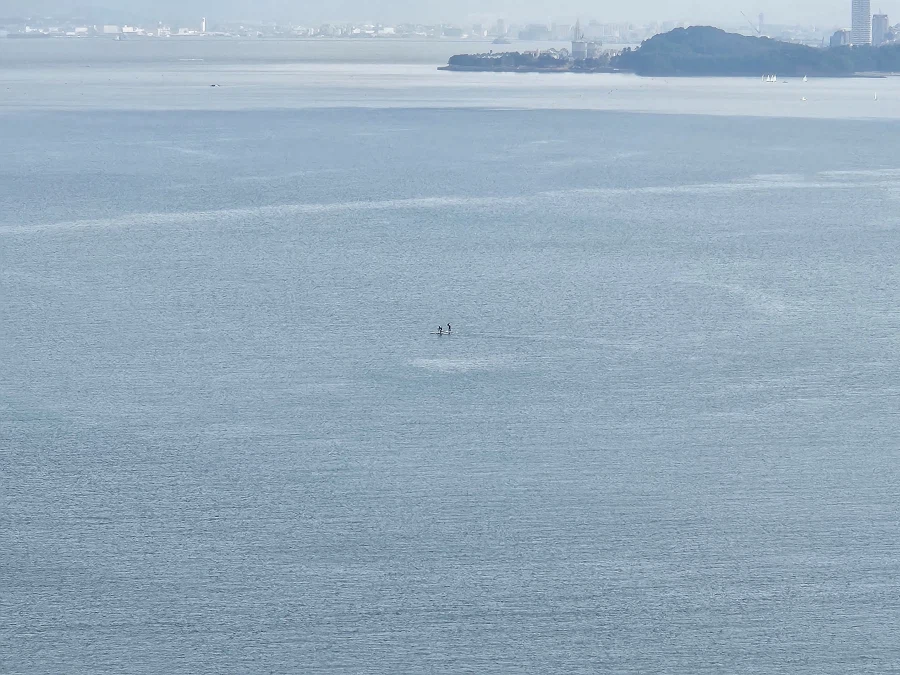 이마주쿠 등_26.webp