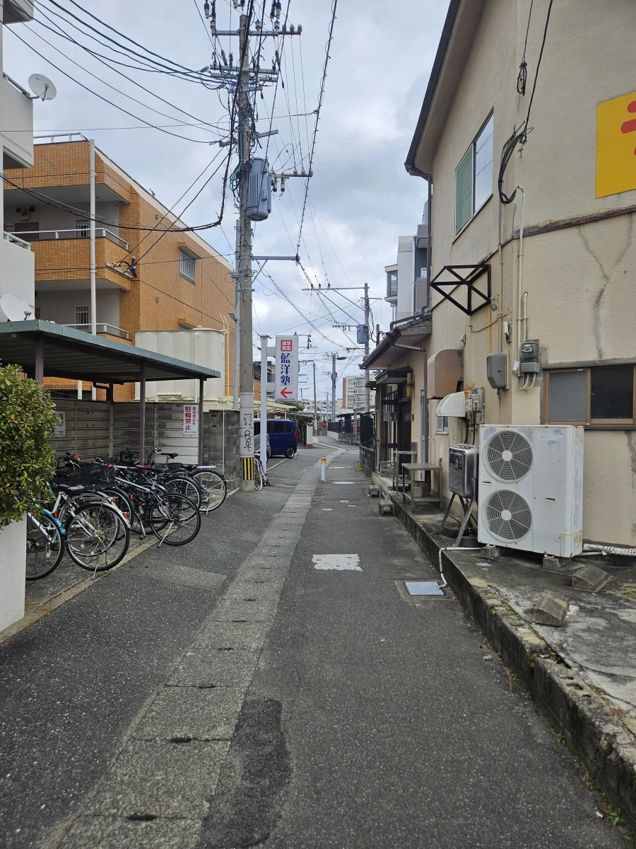 이마주쿠 등_30.webp