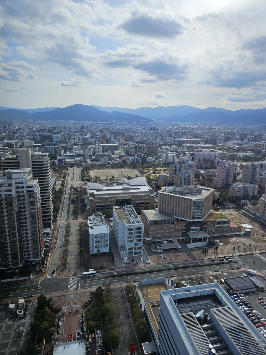 이마주쿠 등_43.webp