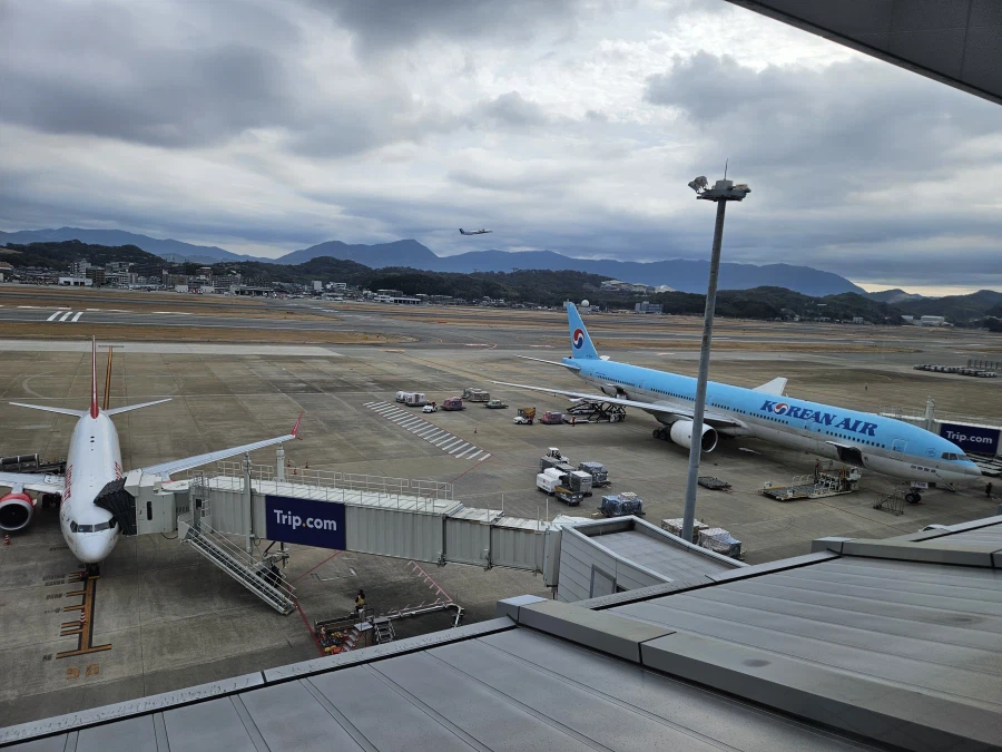 이마주쿠 등_53.webp