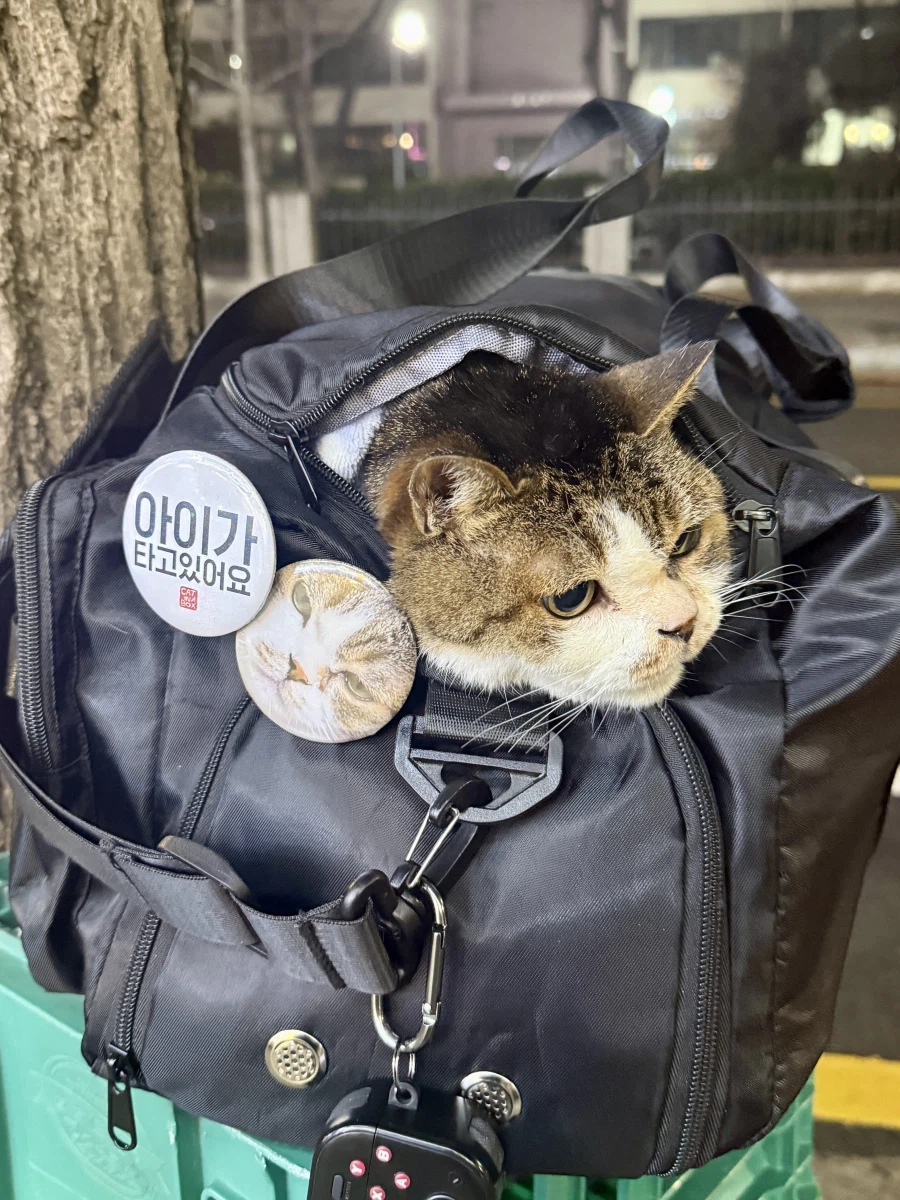 긴 신부전 치료를 일단 마치고 아이가 집으로 왔습니다!_1.webp