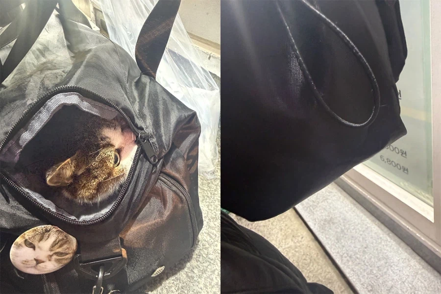 긴 신부전 치료를 일단 마치고 아이가 집으로 왔습니다!_2.webp