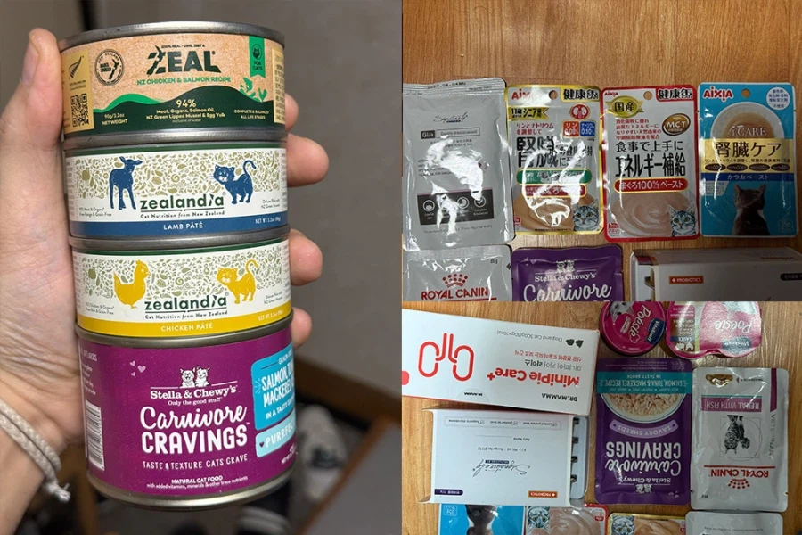 긴 신부전 치료를 일단 마치고 아이가 집으로 왔습니다!_6.webp