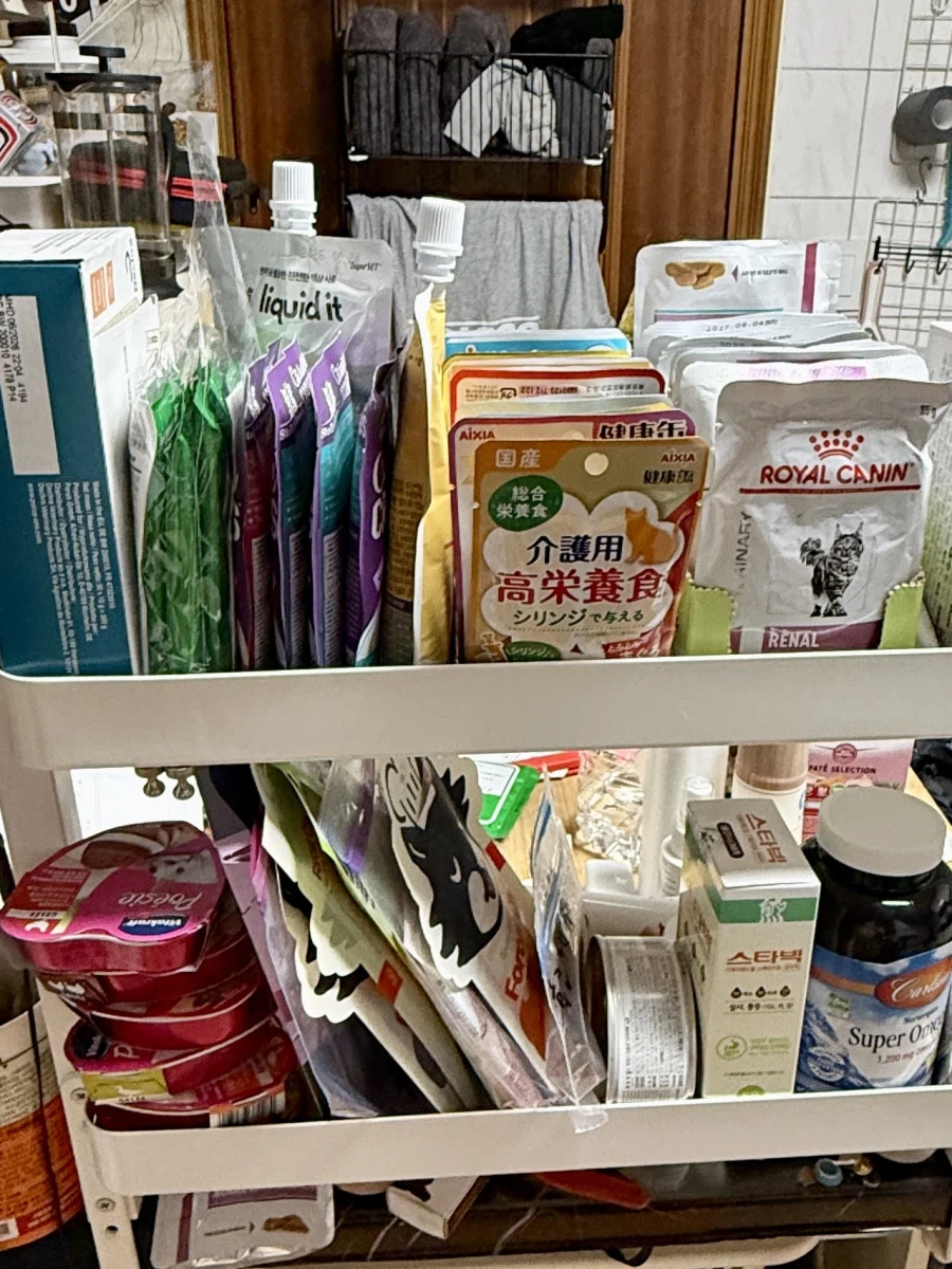 긴 신부전 치료를 일단 마치고 아이가 집으로 왔습니다!_7.webp