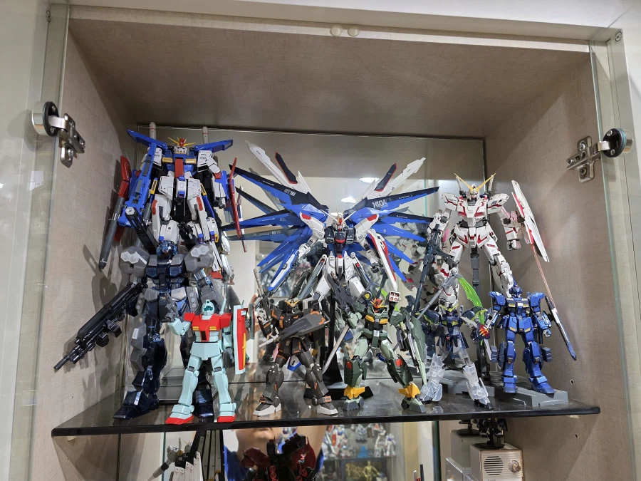 슬금슬금 거실까지 테라포밍... 5년의 시간이 흐른뒤...._7.webp