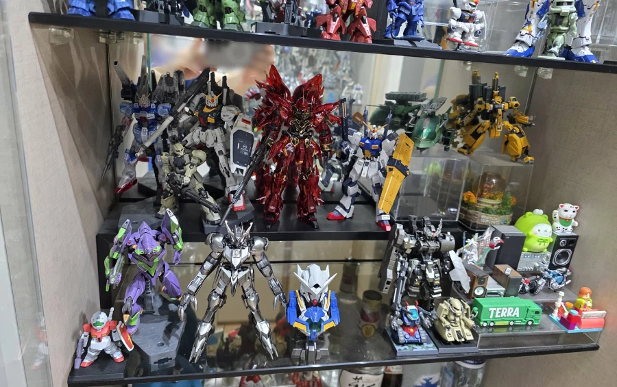 슬금슬금 거실까지 테라포밍... 5년의 시간이 흐른뒤...._9.webp