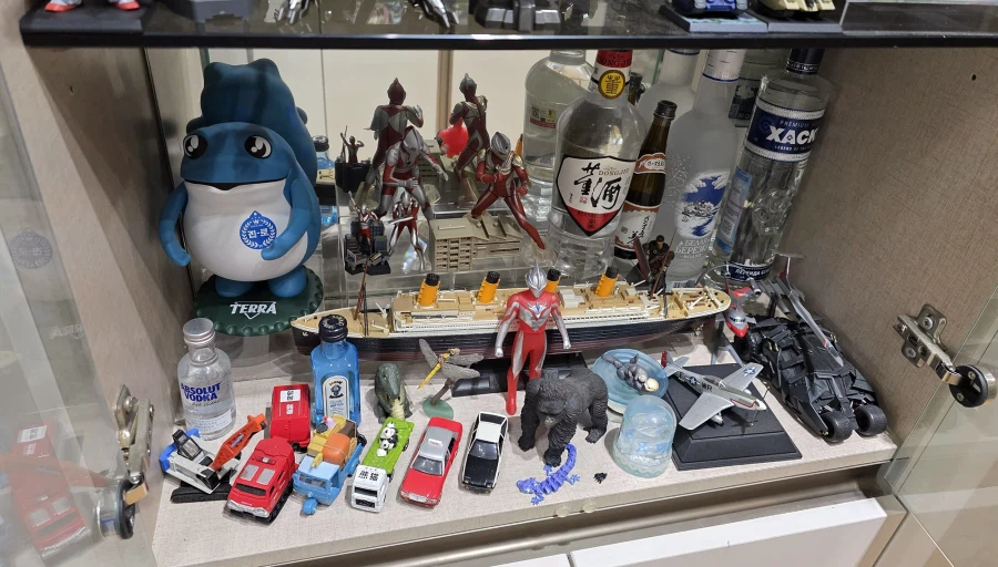 슬금슬금 거실까지 테라포밍... 5년의 시간이 흐른뒤...._10.webp