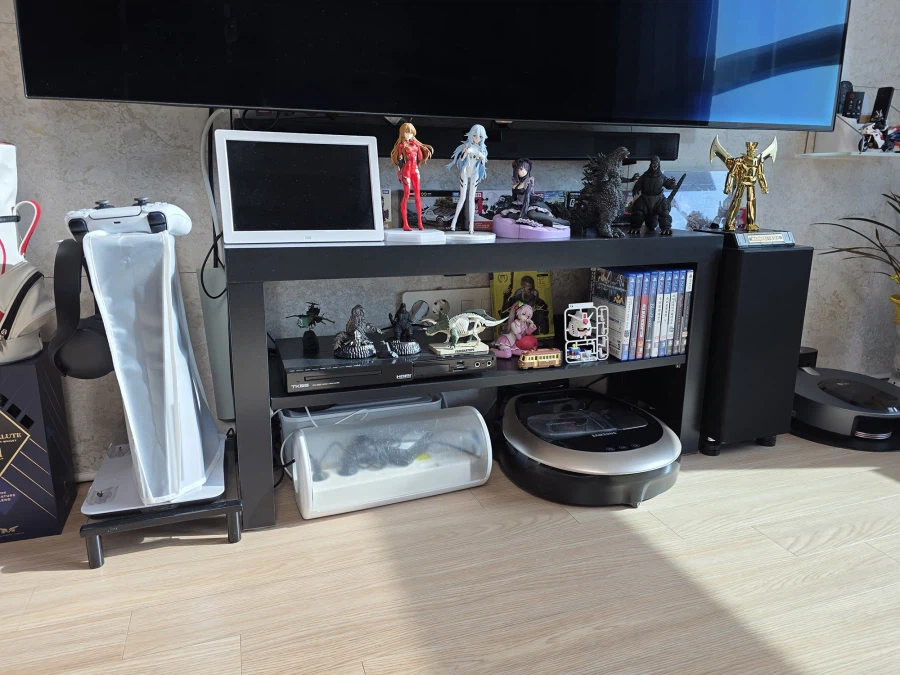 슬금슬금 거실까지 테라포밍... 5년의 시간이 흐른뒤...._17.webp