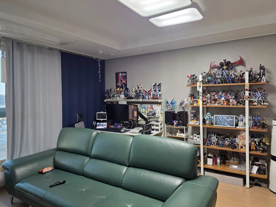 슬금슬금 거실까지 테라포밍... 5년의 시간이 흐른뒤...._22.webp