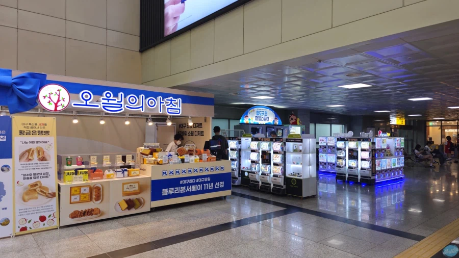 나홀로 무작정 떠난 서울 즉흥 여행_3.webp