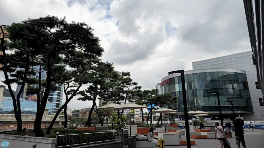 나홀로 무작정 떠난 서울 즉흥 여행_31.webp