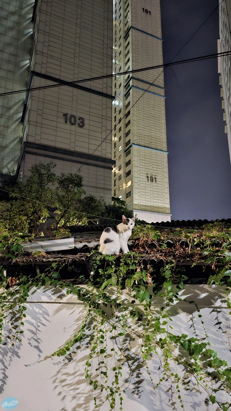 나홀로 무작정 떠난 서울 즉흥 여행_105.webp