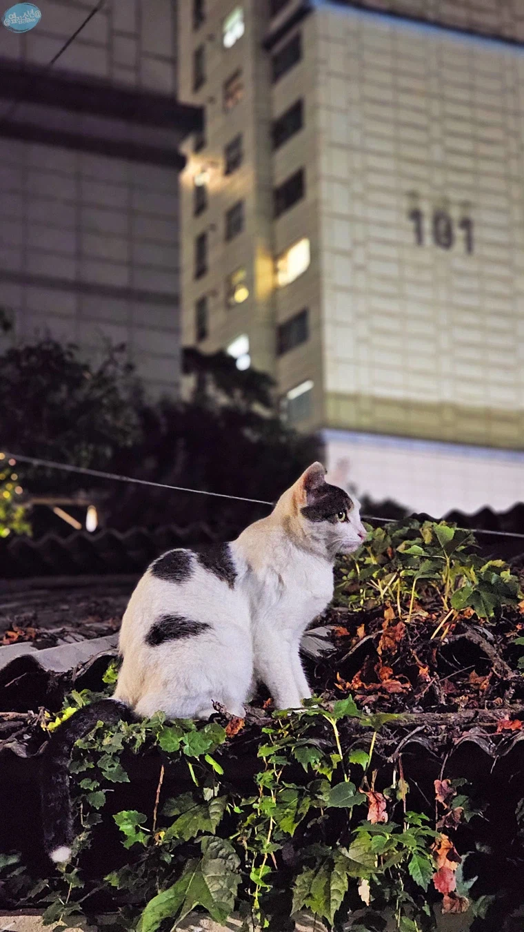 나홀로 무작정 떠난 서울 즉흥 여행_106.webp