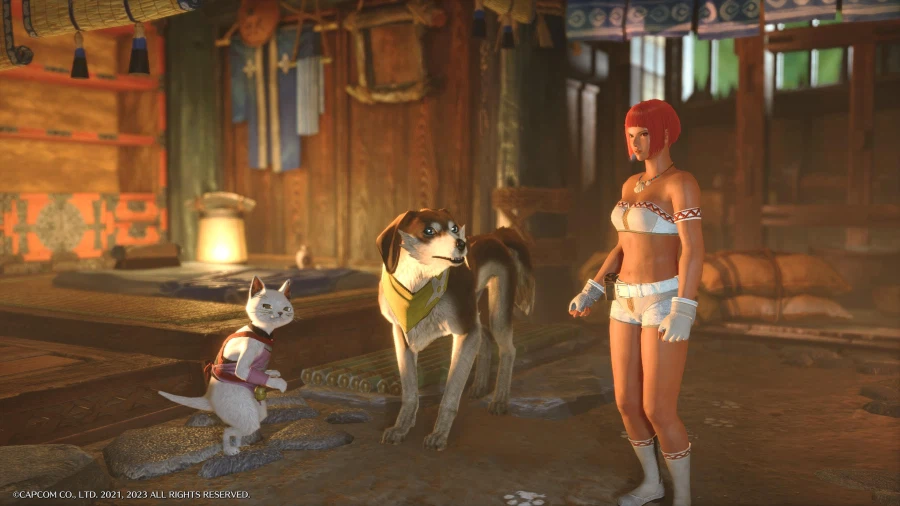 2G 이후로 라이즈 입문했습니다_8.webp