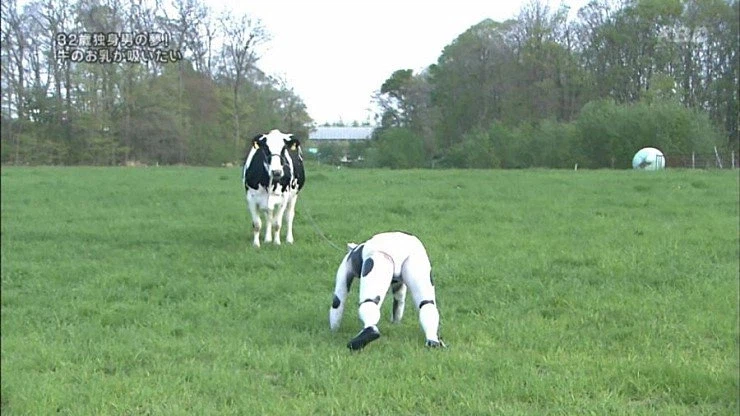 젖소 코스프레 실사화_2.webp