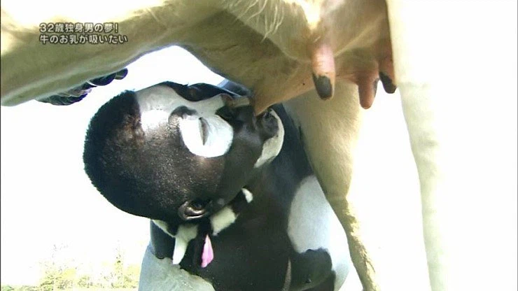 젖소 코스프레 실사화_3.webp