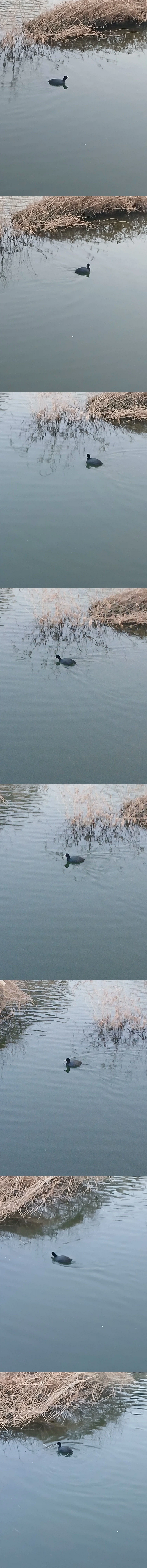 무슨 새에요?_1.webp