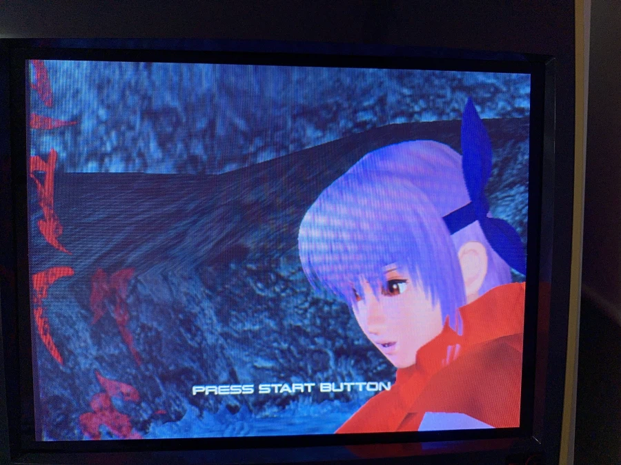 데드 오아 얼라이브 2_6.webp