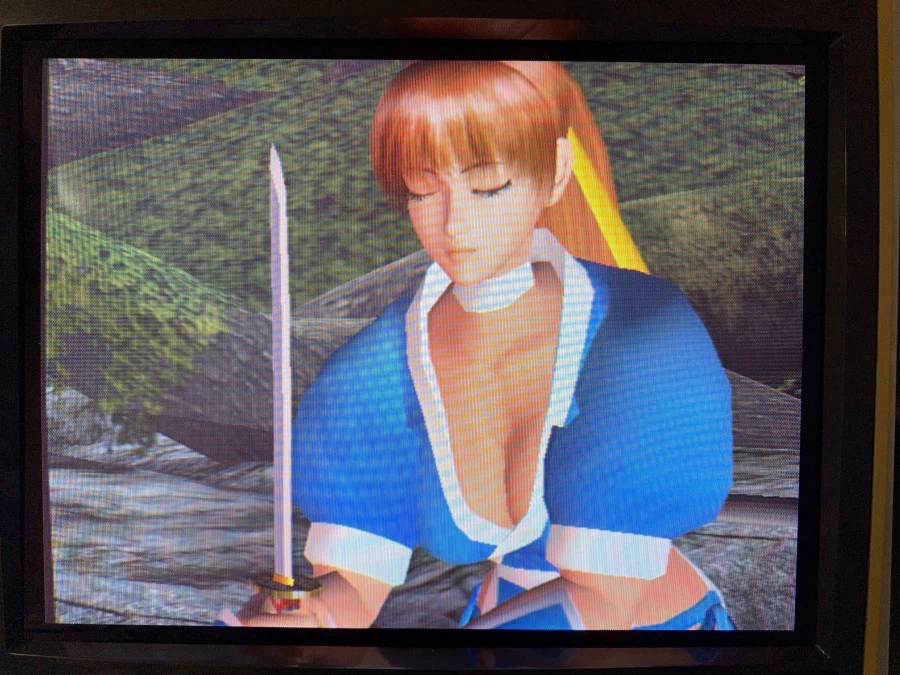 데드 오아 얼라이브 2_7.webp