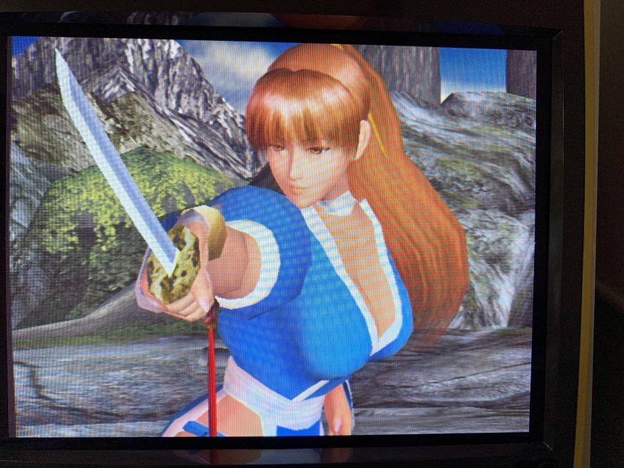 데드 오아 얼라이브 2_8.webp