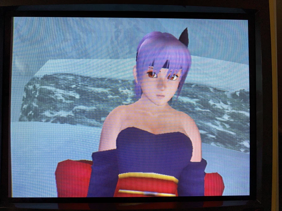 데드 오아 얼라이브 2_14.webp