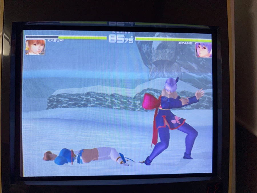 데드 오아 얼라이브 2_16.webp