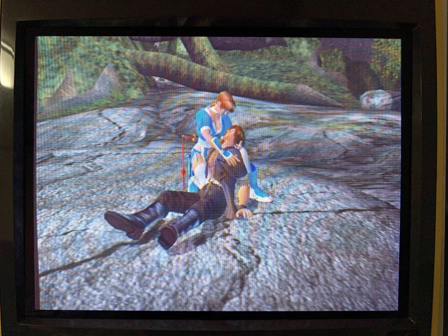 데드 오아 얼라이브 2_19.webp