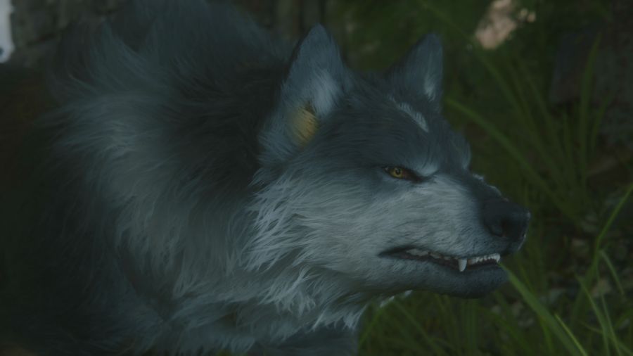 파이널 판타지16_20.png