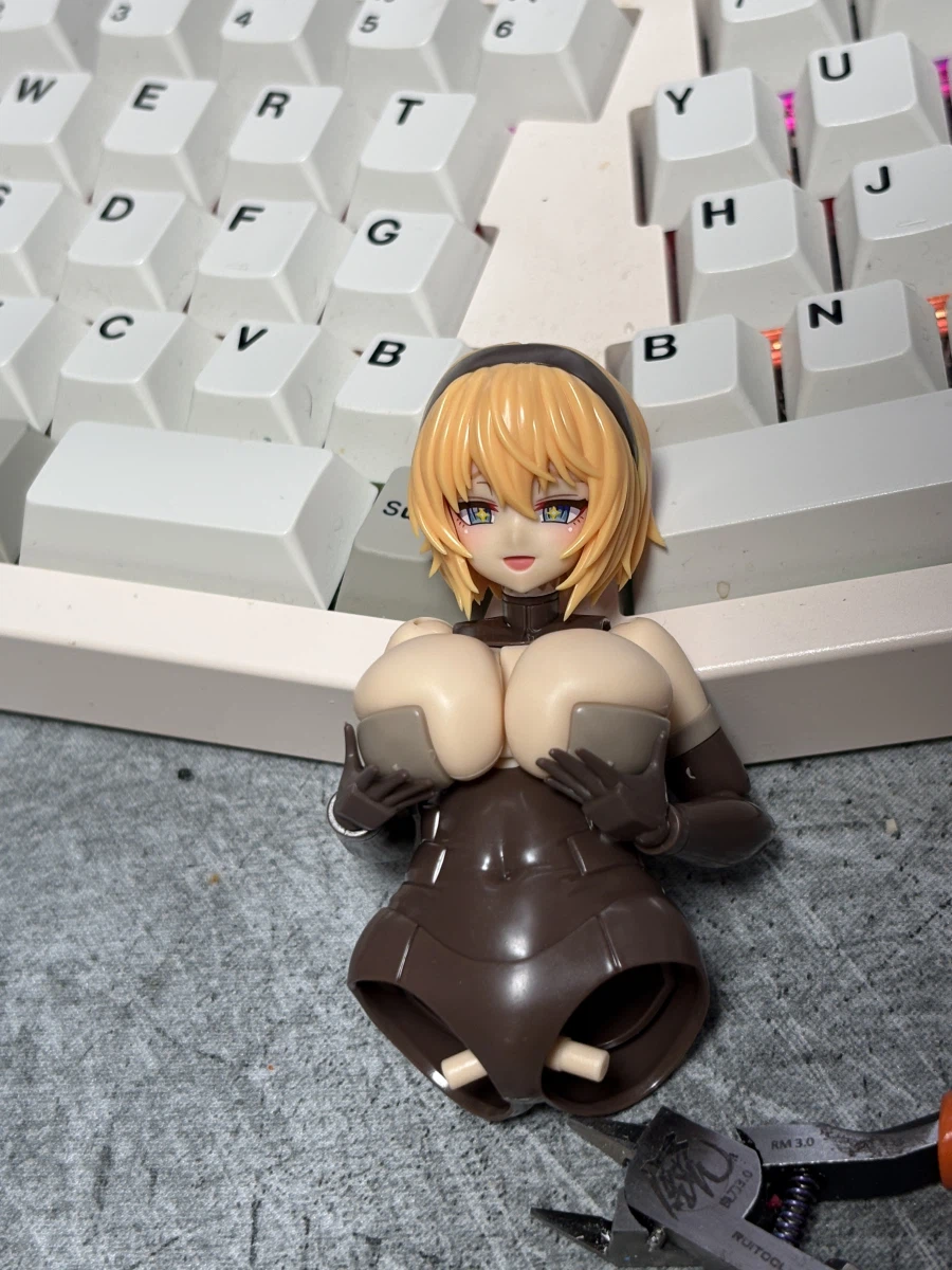 코토부키야 프레임 암즈 걸 카구츠치 갑_5.webp