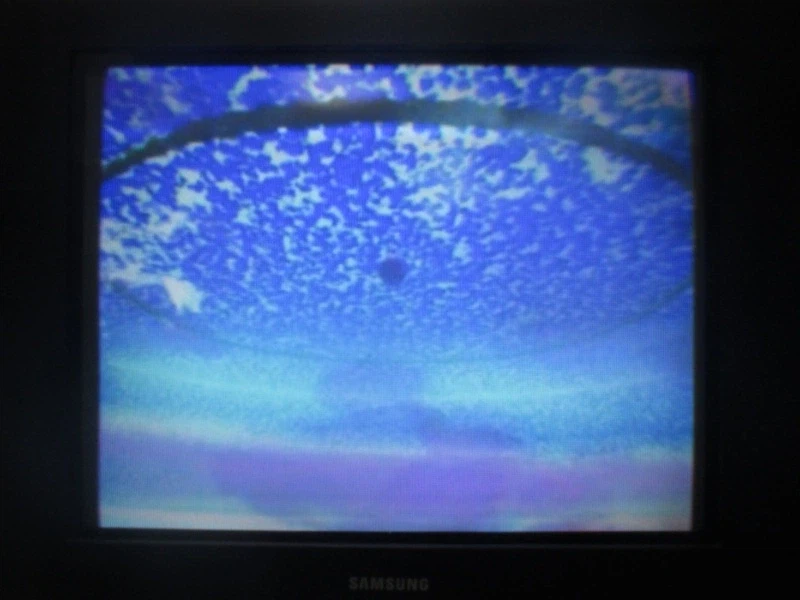 테일즈 오브 이터니아 (1)_36.webp