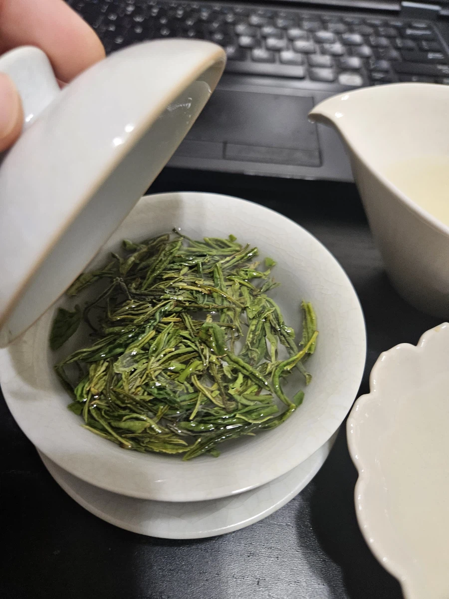 황산모봉이 최앱니다_2.webp