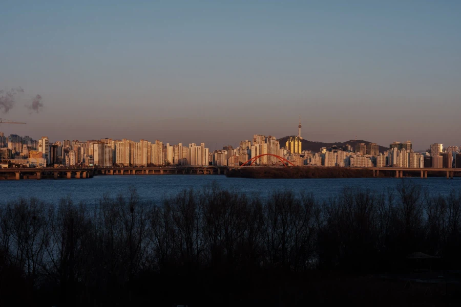 SEL2470GM2 | 차가운 밤공기, 그 투명함을 가볍게 쥐다_3.webp