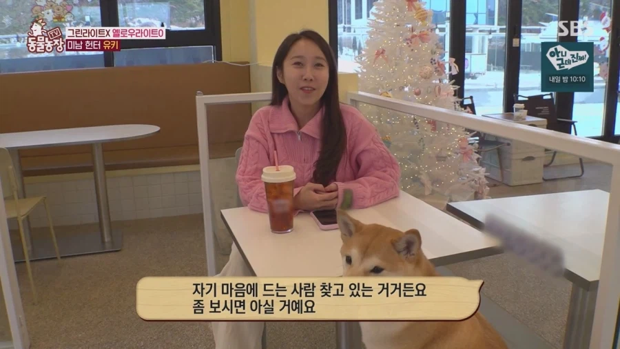 잘생긴 남자면 보면 실실웃고 오줌싸는 시바견_2.webp