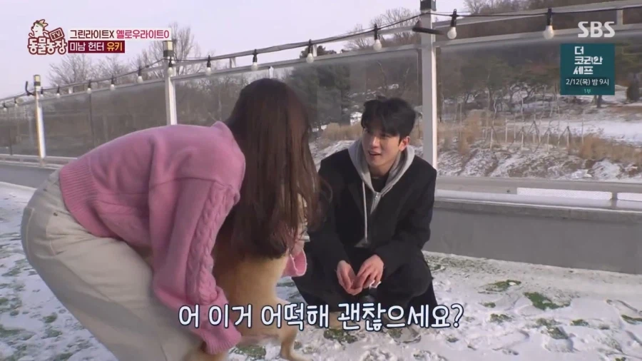 잘생긴 남자면 보면 실실웃고 오줌싸는 시바견_15.webp