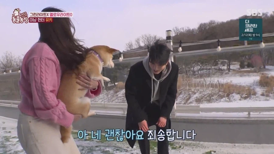 잘생긴 남자면 보면 실실웃고 오줌싸는 시바견_16.webp