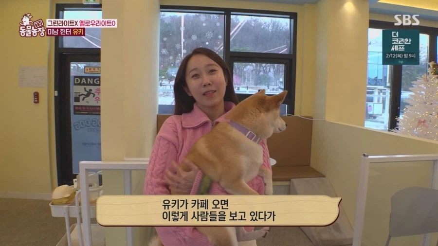 잘생긴 남자면 보면 실실웃고 오줌싸는 시바견_17.webp