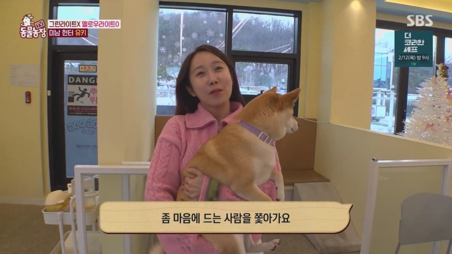 잘생긴 남자면 보면 실실웃고 오줌싸는 시바견_18.webp