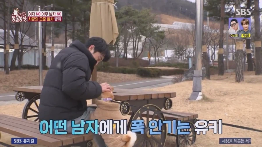 잘생긴 남자면 보면 실실웃고 오줌싸는 시바견_38.webp