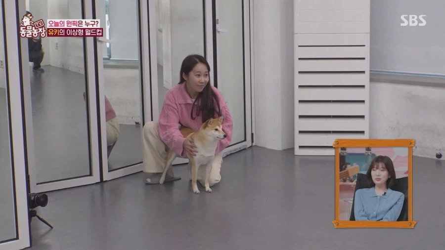 잘생긴 남자면 보면 실실웃고 오줌싸는 시바견_58.webp