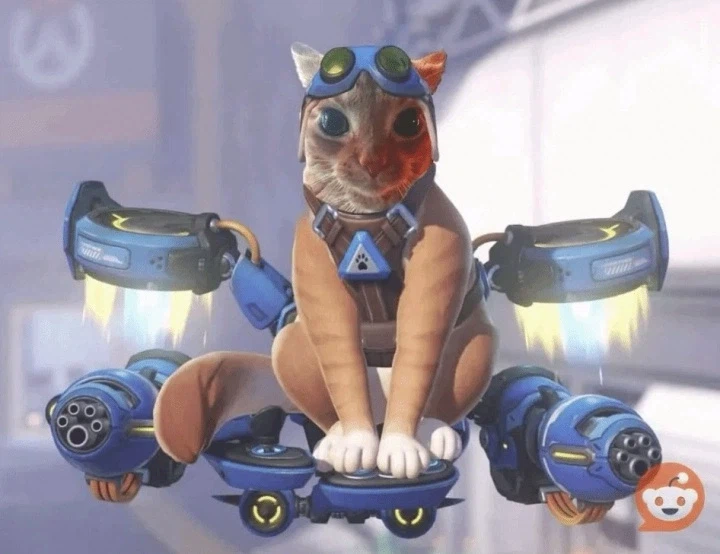 오버워치 신규 캐릭터 논란, 새 캐릭터들 너무 평범하다고 분노_3.webp