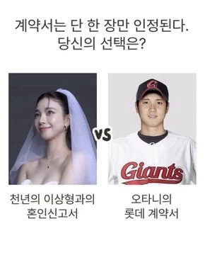 롯데는 교통사고와 같음._1.webp