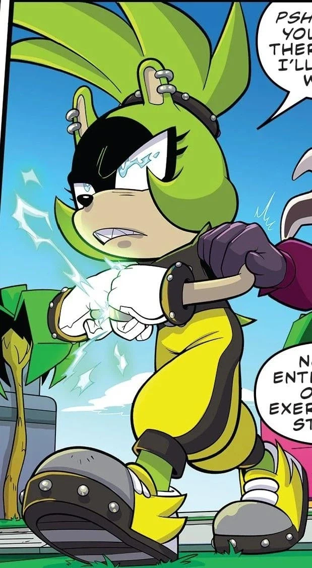 소닉) IDW 코믹스 매력적인 여캐_4.webp