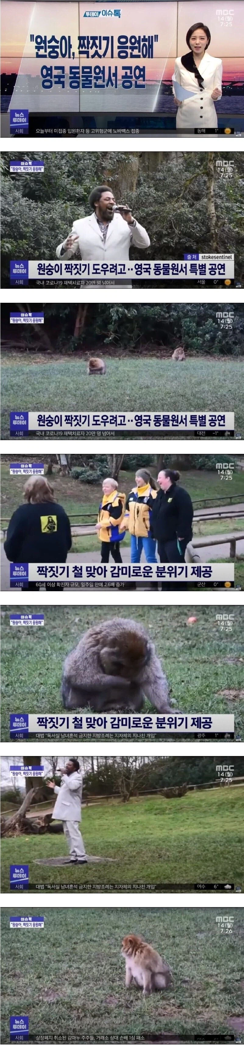 영국 동물원의 짝짓기 응원.jpg_1.webp