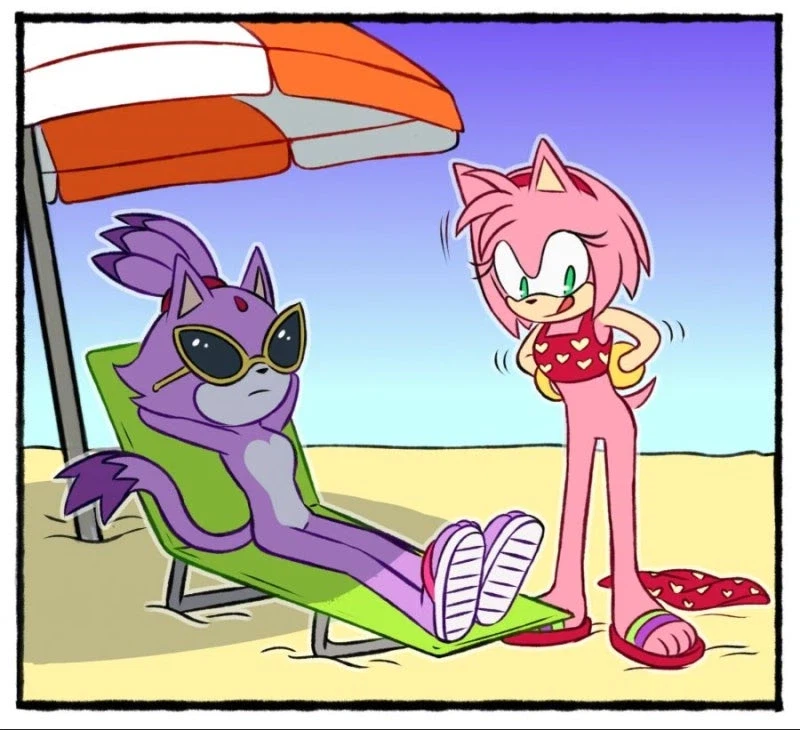 소닉) 여캐들의 수영복_3.webp