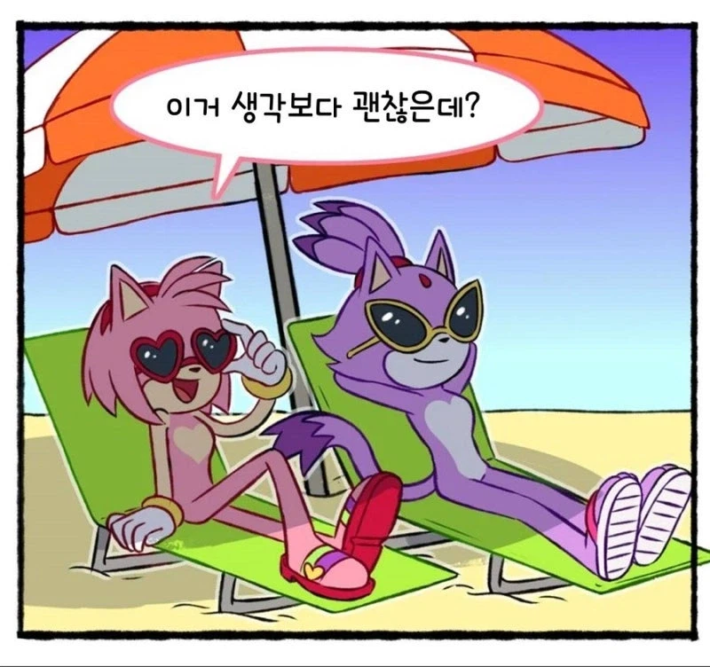 소닉) 여캐들의 수영복_4.webp