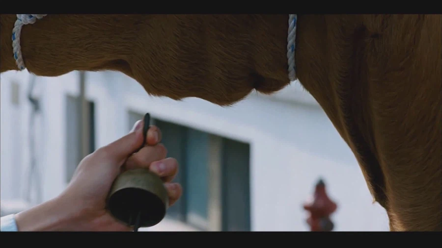 영화 식객에서 가장 슬픈장면_4.webp